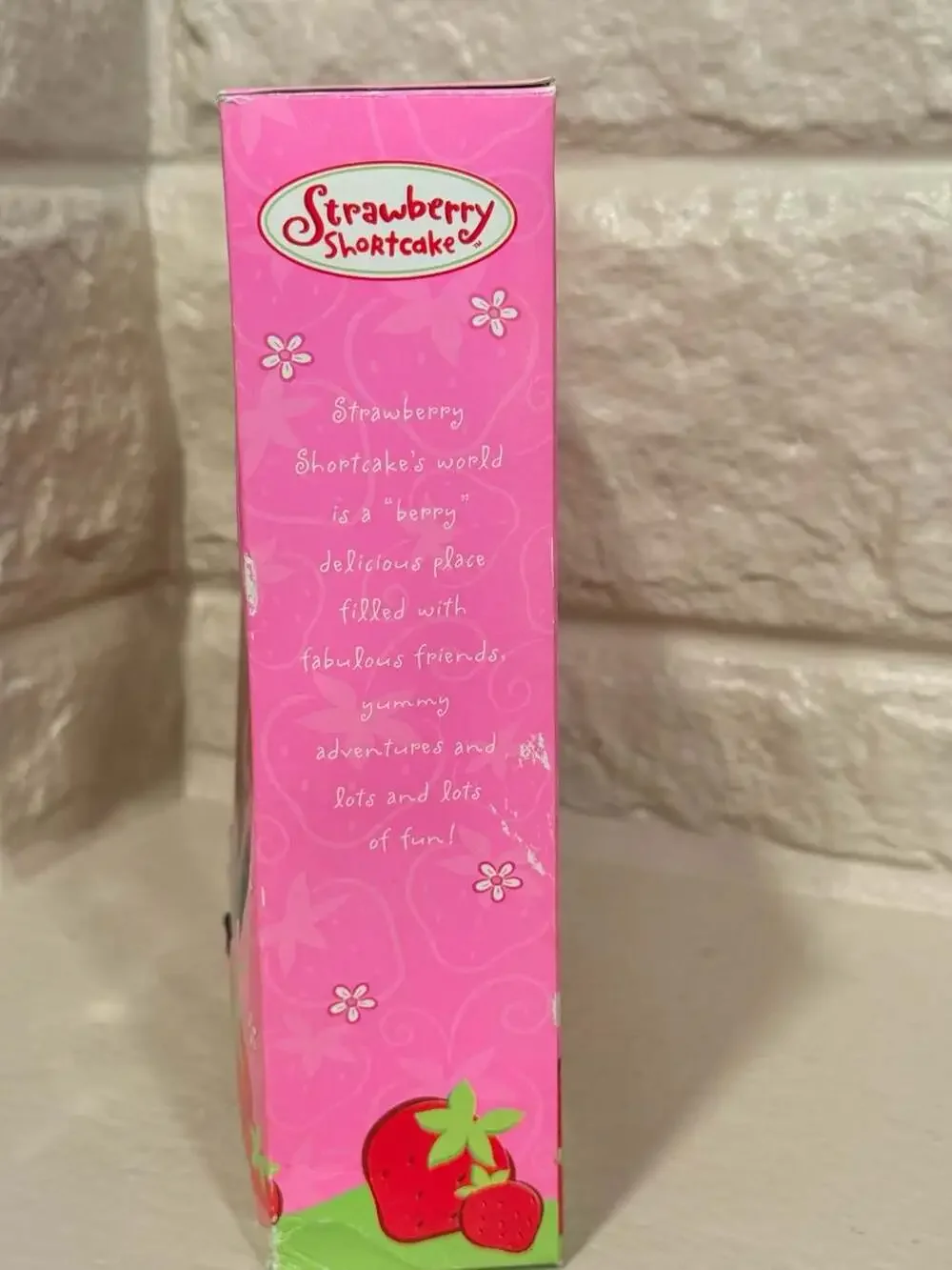Strawberry Shortcake Bath Activity Set with Paints, Crayons, and Stampers